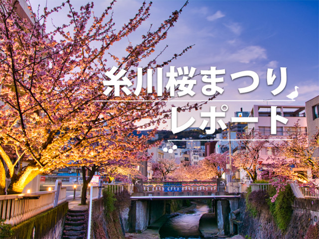 第14回あたみ桜 糸川桜まつりレポート